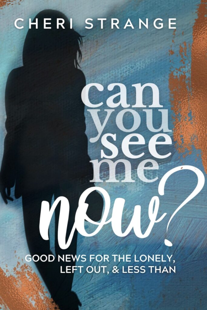 Can You See Me Now by Cheri Strange