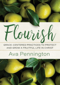 Flourish: Grace-Centered Practices to Protect and Grow a Fruitful Life in Christ
